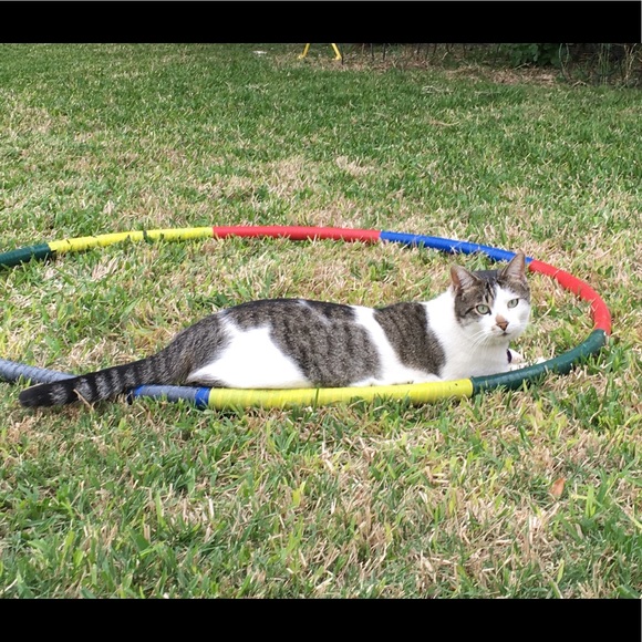 Meet your Posher, Robin - Picture 1 of 1